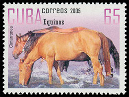 Лошади. Почтовые марки Куба 2005-10-21 12:00:00