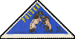 Породы лошадей. Почтовые марки Польша 1963-12-31 12:00:00
