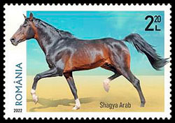 Horse breeds. Postage stamps of Romania.