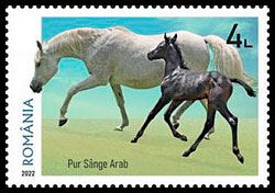 Horse breeds. Postage stamps of Romania 2022-08-09 12:00:00
