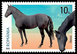 Horse breeds. Postage stamps of Romania.