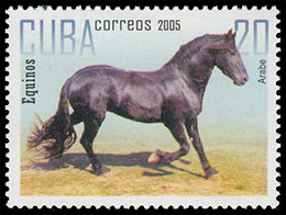 Лошади. Почтовые марки Куба 2005-10-21 12:00:00