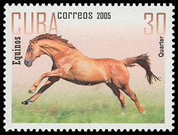 Лошади. Почтовые марки Куба 2005-10-21 12:00:00