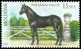 Horse Breeds . Postage stamps of Moldova.