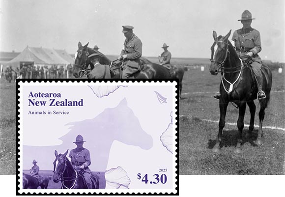 nz-2025-3-art-foto