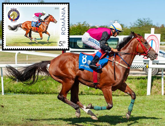 romania-25-11-2025-foto-1