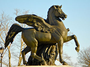 Пегасы