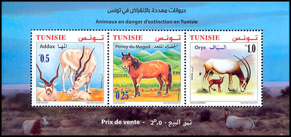 tunisia-2019-05-22-ms