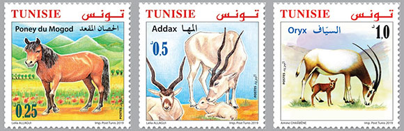 tunisia-2019-05-22-set_1